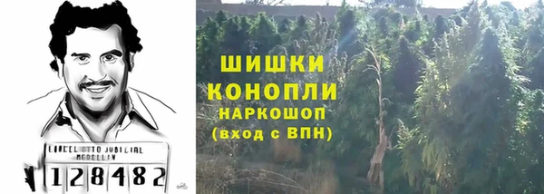 индика Абаза