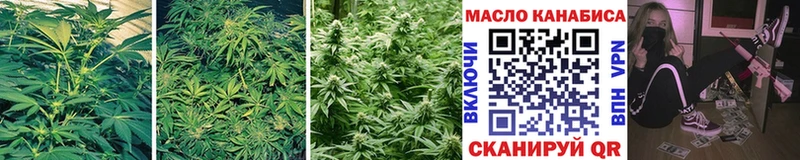 kraken ССЫЛКА  Орёл  ТГК гашишное масло 